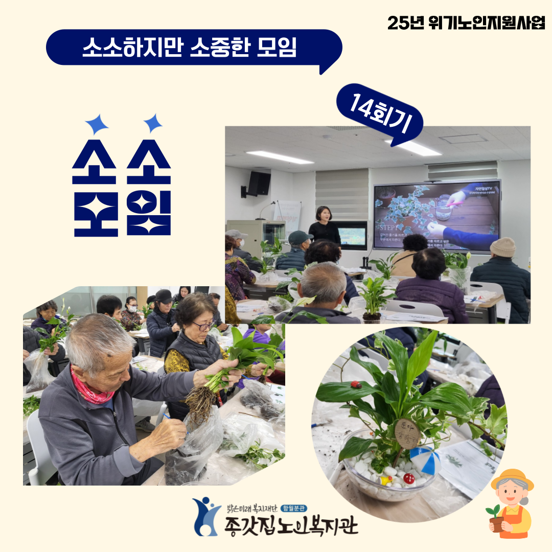 소소모임_반려식물키우기인스타용.png